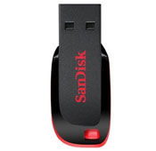 Sandisk Cruzer Blade CZ50 USB 2.0 128GB Flash Memory